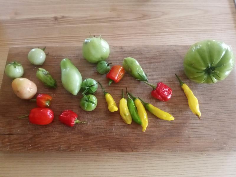 3 Bedroom Property for Sale in Oudtshoorn Rural Western Cape